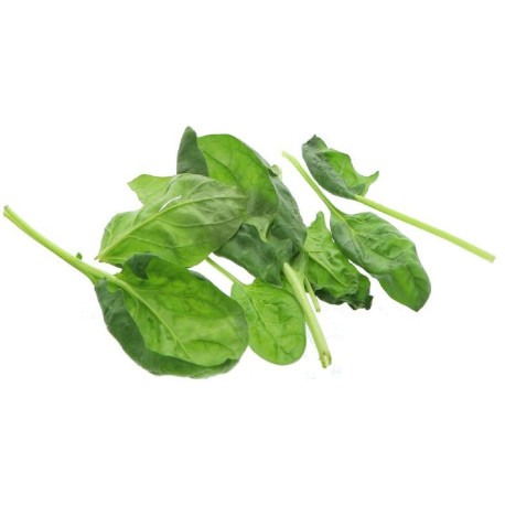 BIO EPINARD MOSELLE 3KG